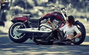 Harley Davidson